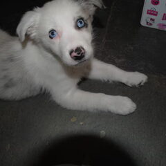 Nona, week 9.