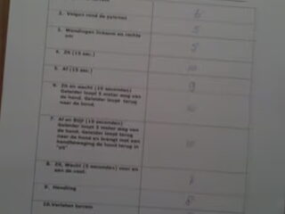 Joehoeeeee Odie is geslaagd voor de basis curcus gehoorzaamheid !!!