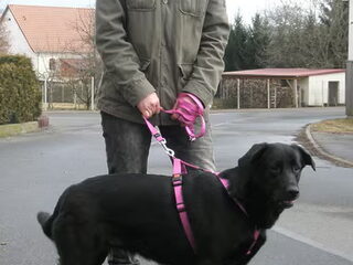 Geen zin om te poseren.