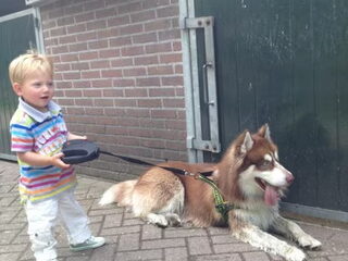 Jake en boef