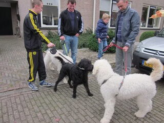 Bowie en de reunie met zijn familie