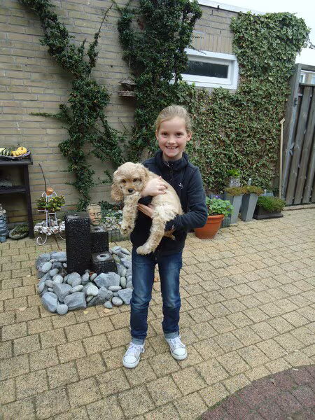 kinderen met honden