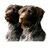 Duitse Staande Hond, Draadhaar