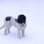 Landseer