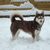 Siberische Husky