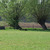 Around Tjopp's Border Collies Around Tjopp's Border Collies