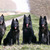 Of Dazzling Black Of Dazzling Black