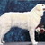 Kennel van de Viersenhoeve