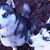 Siberische Husky Siberische Husky