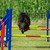 De la Ferme Farouche De la Ferme Farouche