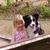 Border Collies van't Rublisiehof Border Collies van't Rublisiehof