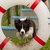 Border Collies van't Rublisiehof Border Collies van't Rublisiehof
