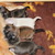 Chihuahuakennel van Guldemond Chihuahuakennel van Guldemond