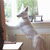 Zwitserse Witte Herder