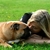 Hugs and Kisses Hugs and Kisses