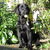 Flat Coated Retriever
