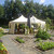 Chihuahua Kennel Tefrhe Chihuahua Kennel Tefrhe