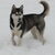 Siberische Husky Siberische Husky