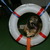 mechelse herder kennel van de Ravenhoeve