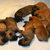 mechelse herder kennel van de Ravenhoeve