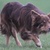 P Fuchs P Fuchs