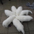 happywhitedogs