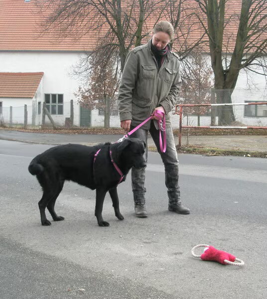 Geen zin om te poseren.