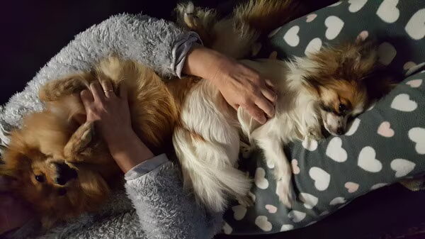 Lilly en Chanel worden vriendinnetjes