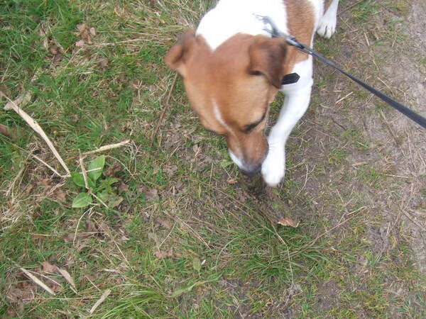 Liefde
