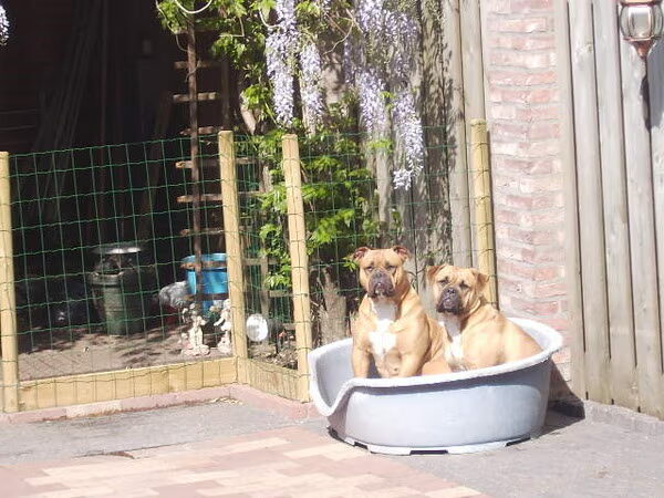 Waarheid