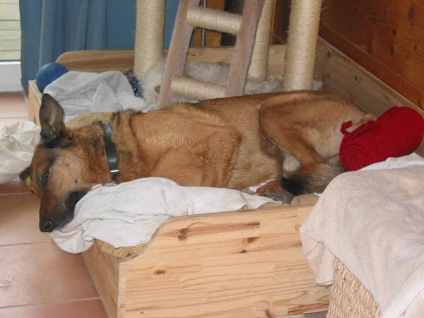 Paco en de foto sessie