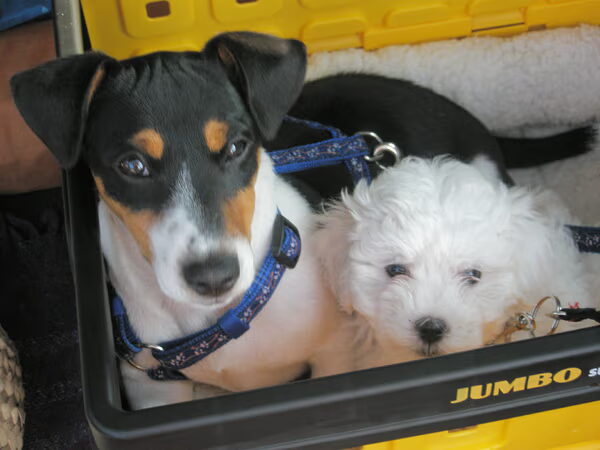 Luca en Nina