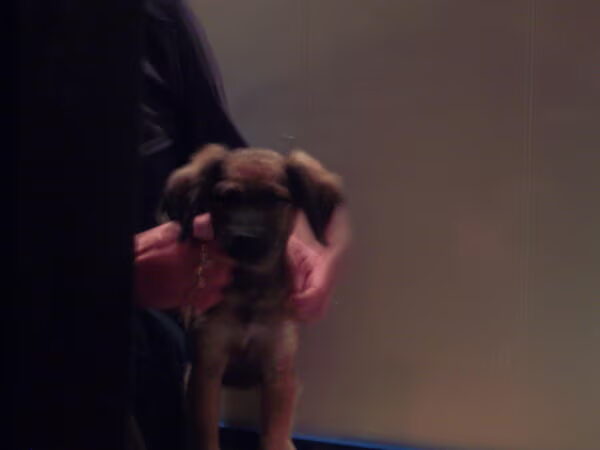 Zoë ophalen!