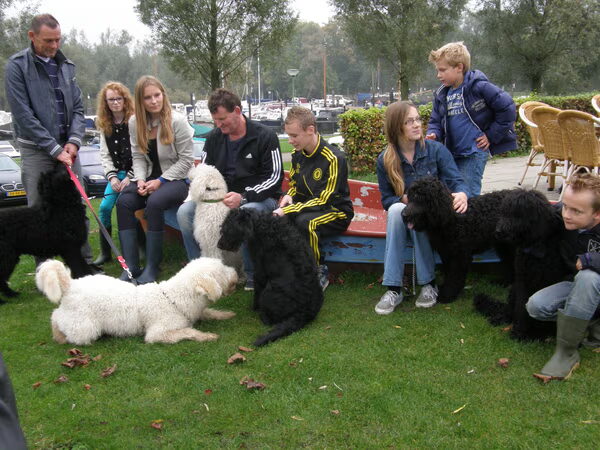 Bowie en de reunie met zijn familie