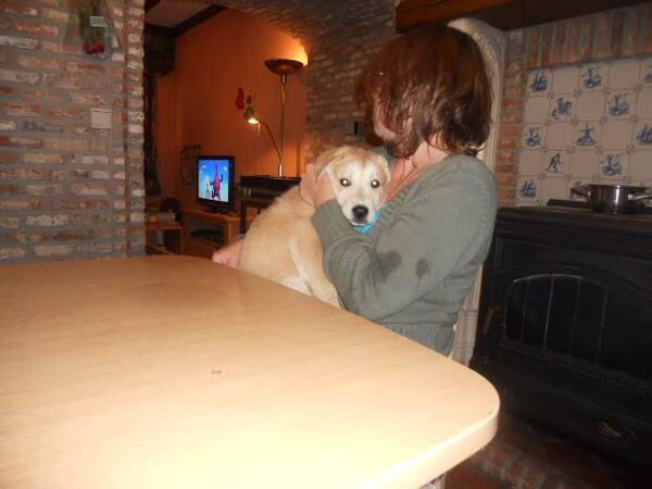 een nieuwe onverwachte pup,mijn lieve lara