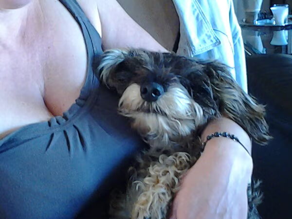 molly