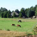 De Gelpenhoeve (recreatieboerderij)