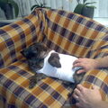 We missen ons andere hondje Iggy.