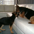 Gezond!!