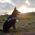 Heerlijk bij zonsondergang!