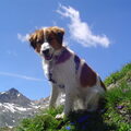 Graubunden