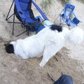 Fedor op het strand in Frankrijk.