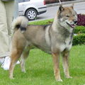 Shikoku