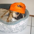 Hup Holland!