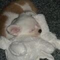 Ons lief ventje