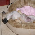 Tj geeft zich volledig over....