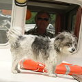 Samen met haar vriendin Dobby heeft Flupke een geweldige week doorgebracht op een bootje in Zuid Frankrijk, Canal du Midi!