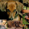 Dag lieverdje (geschreven op 4 oktober 2009)
