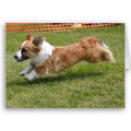 Welsh Corgi Cardigan
