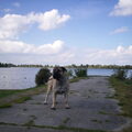 Dogo Canario